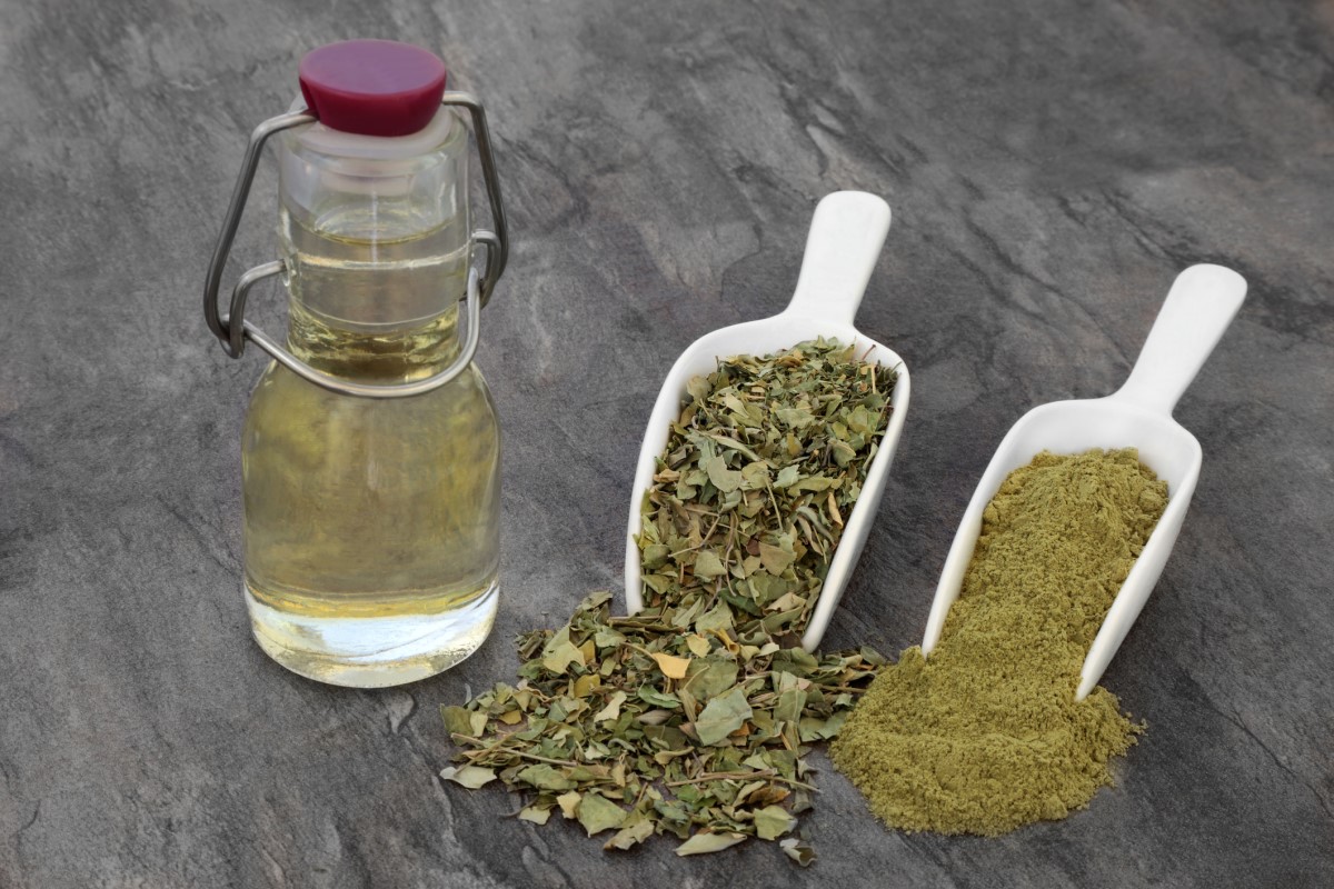 Diferite forme de moringa: ulei într-o sticlă, părți tăiate pe o lingură, măcinate pe o lingură