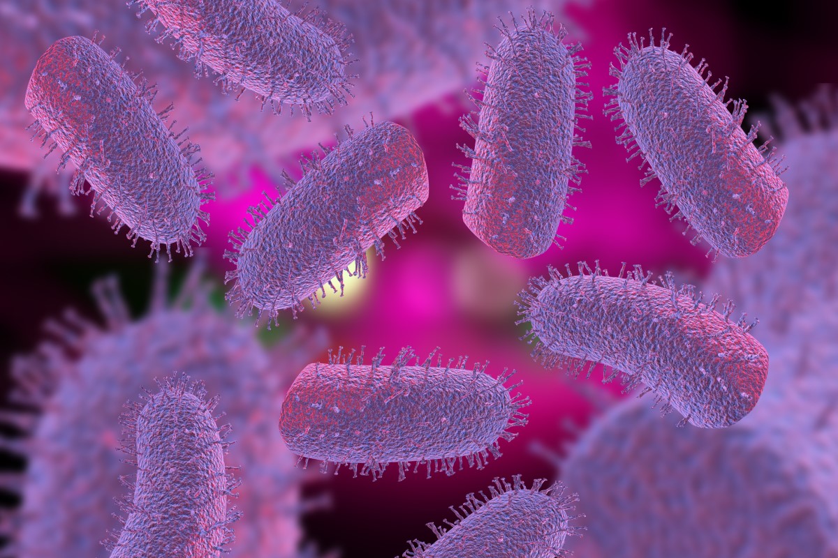 Lyssavirus - virusul Lyssa - Reprezentare 3D a virusurilor rabiei