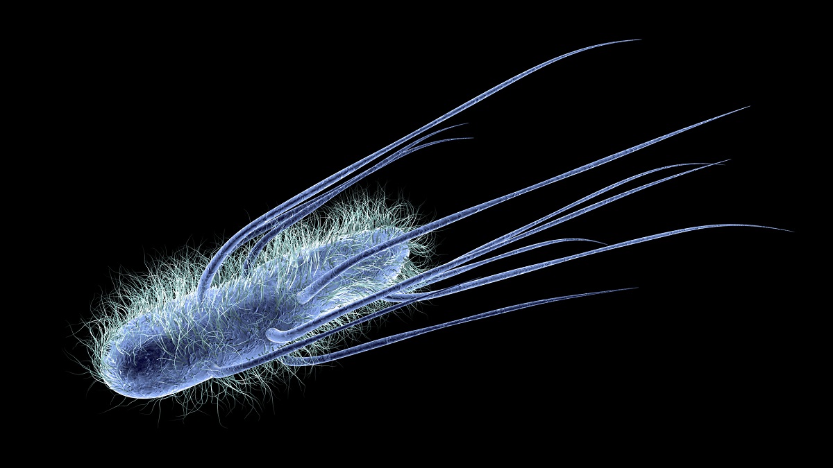 Reprezentare 3D a Escherichia coli