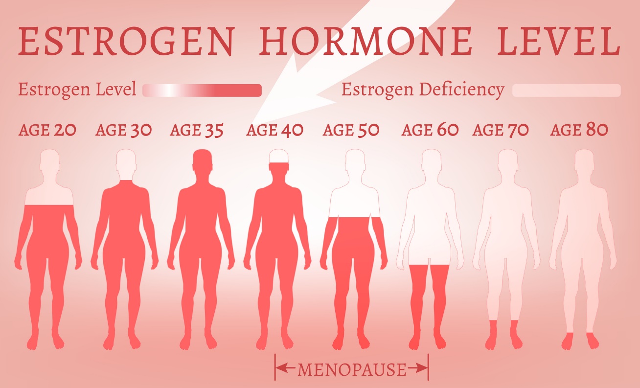 Nivelurile de estrogen în funcție de vârstă