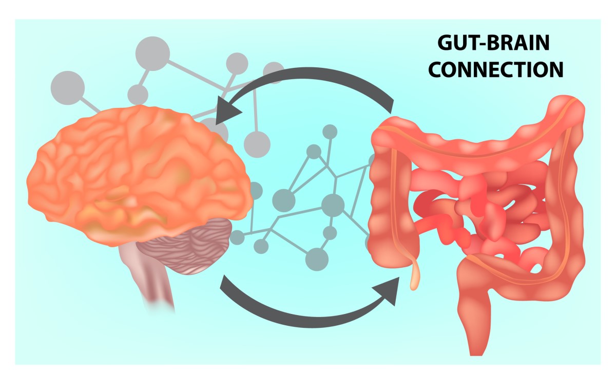 Legătura intestin-creier: conectarea creierului și a intestinului subțire