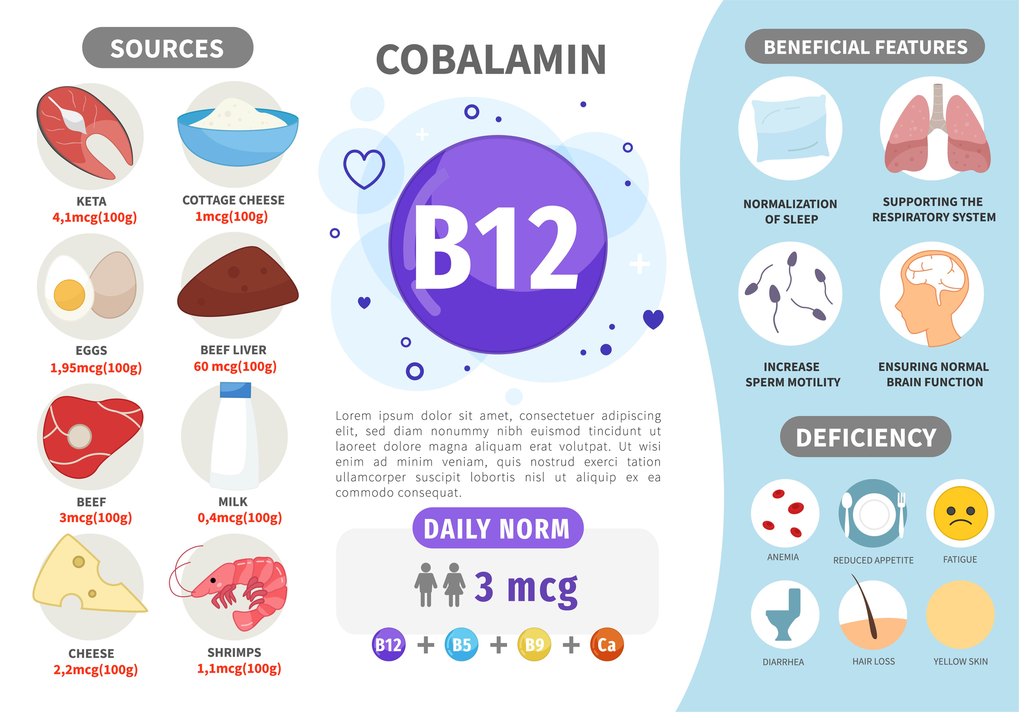 Surse de vitamina B12