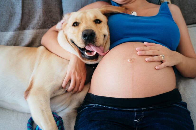 Femeie însărcinată și animale de companie. Sursa foto: Getty Images